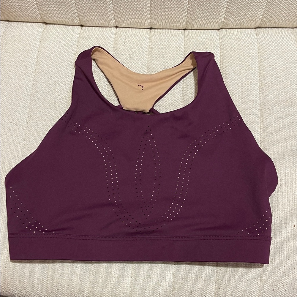 BuffBunny Deep Purple Sports Bra